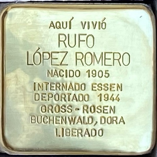 T Rufo-Lopez-Romero web